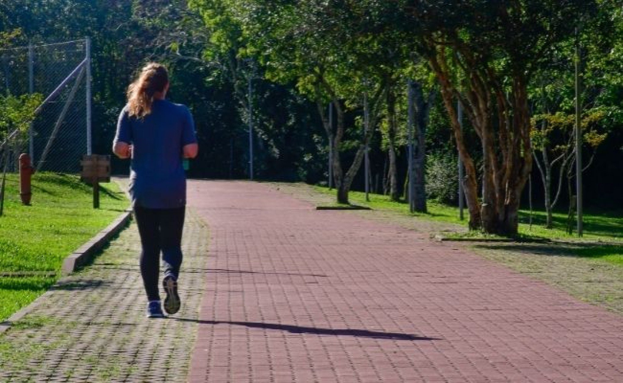 Abertas inscrições para a 1ª Trilha Ecológica no Parcão - Novo Hamburgo -  Jornal NH