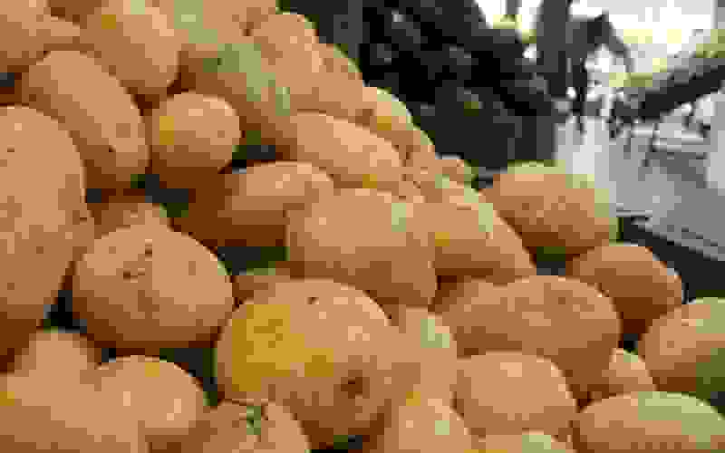 Elevação no preço da batata é destaque nas pesquisas