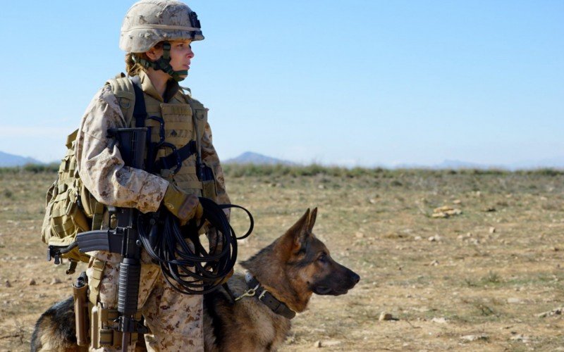 Megan Leavey | Jornal NH