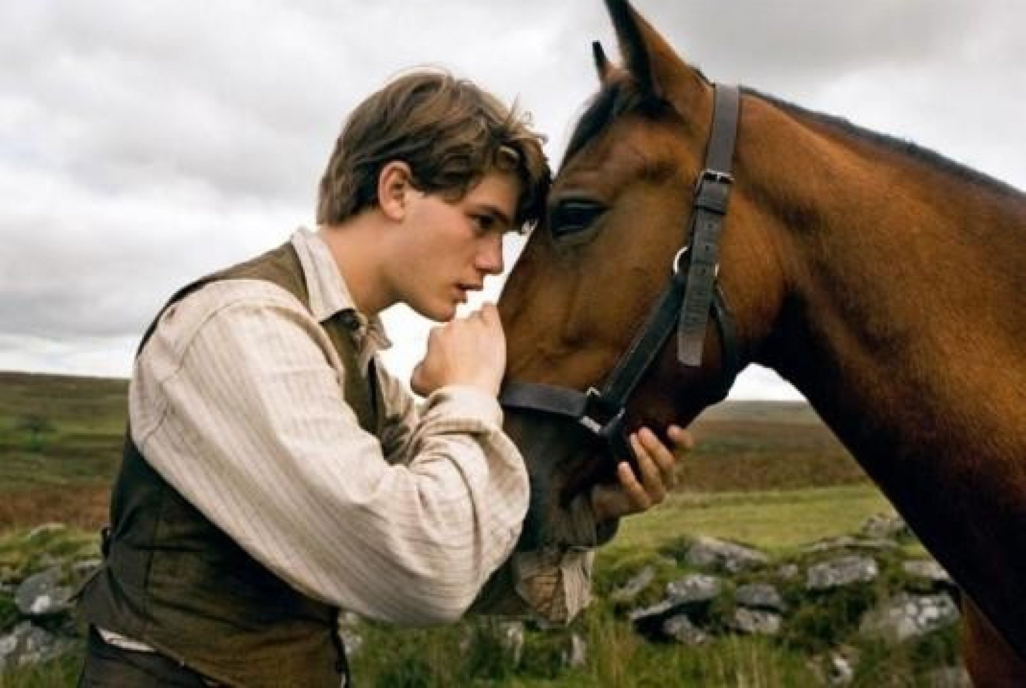 Sessão da Tarde exibe Cavalo de Guerra nesta quinta-feira