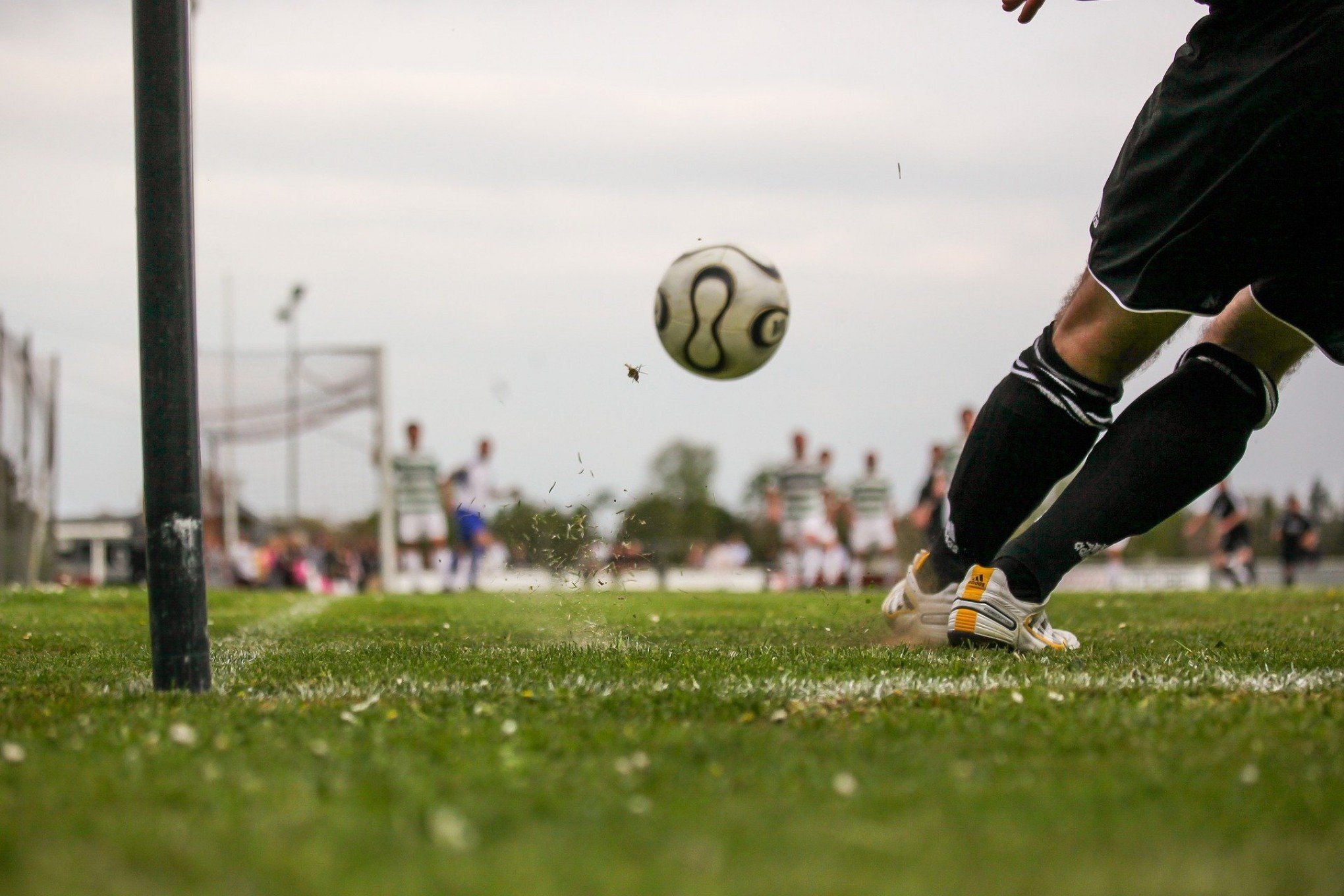 O futebol continua sendo o esporte mais popular para apostas online no  Brasil? - DPF » De torcedor para torcedor