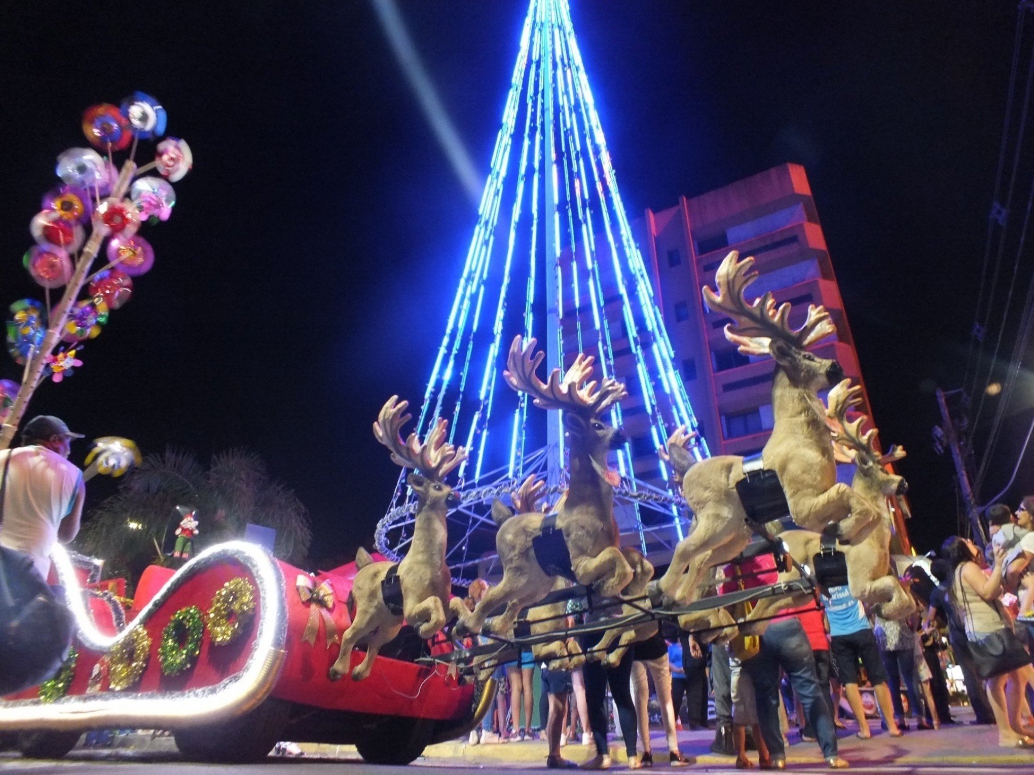 Previsão de chuva adia inauguração de tradicional árvore de Natal em São Leopoldo