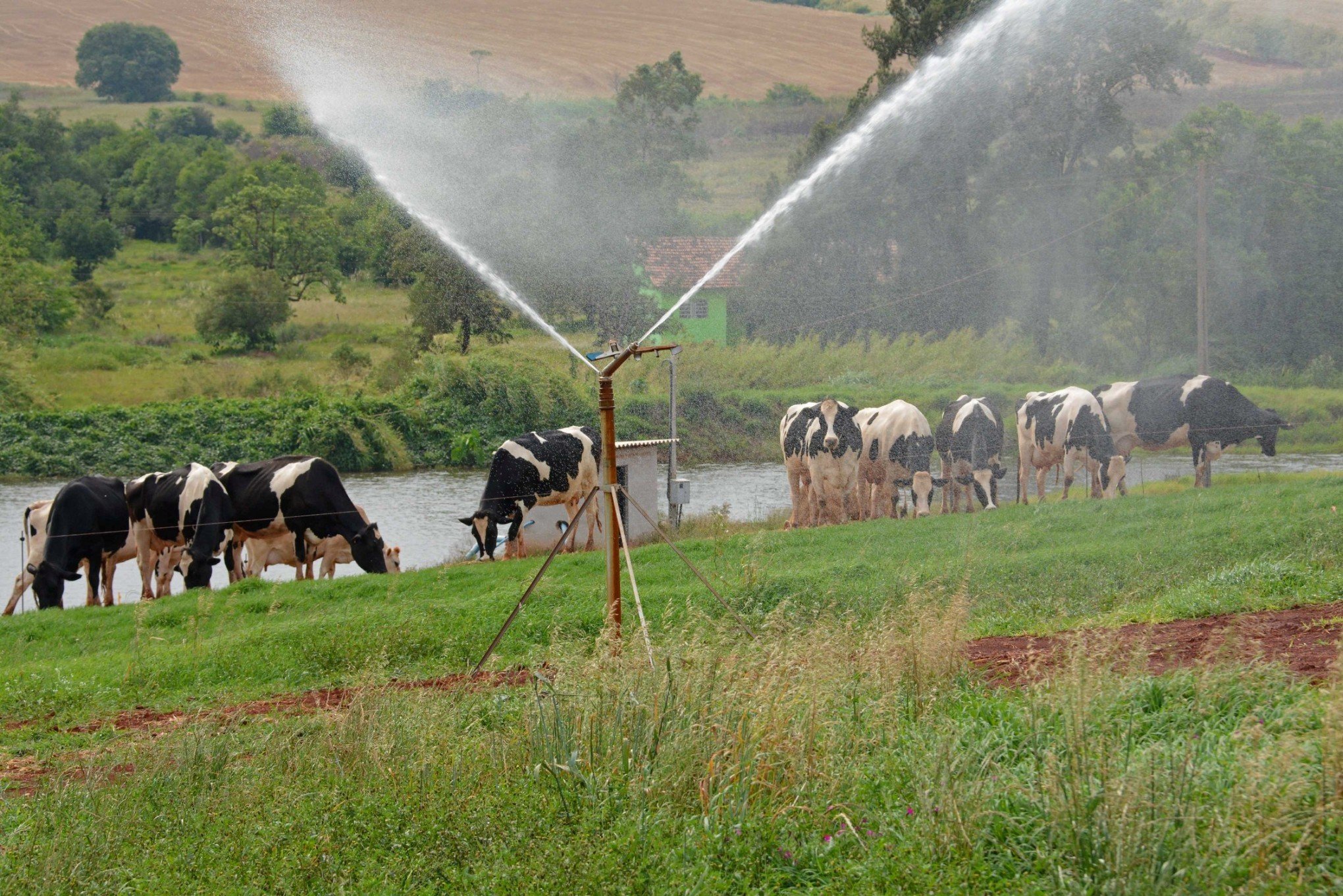 Produtores afetados por estiagem no RS podem renegociar crédito rural