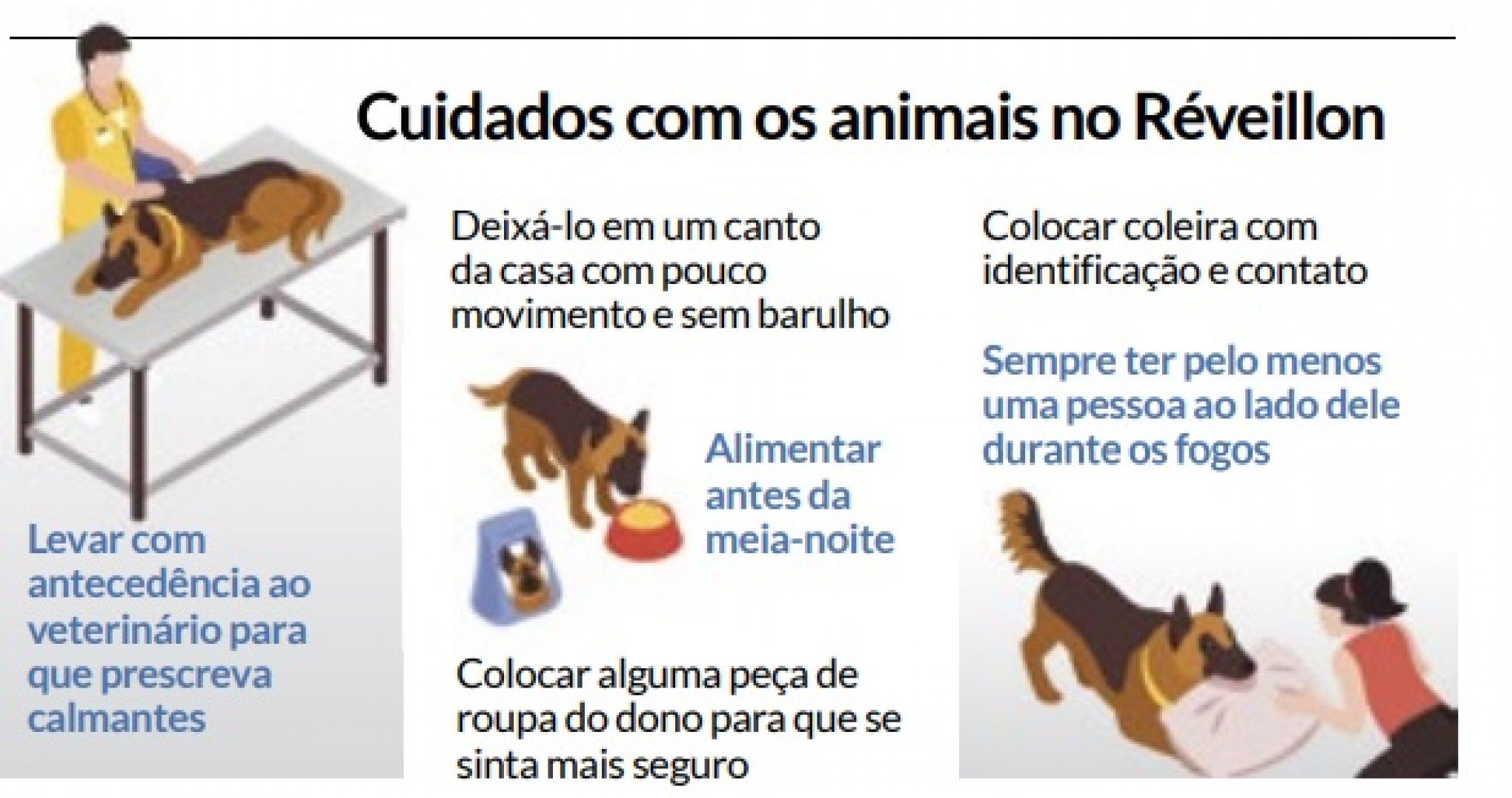 Como proteger os gatos em época de fogos de artifício