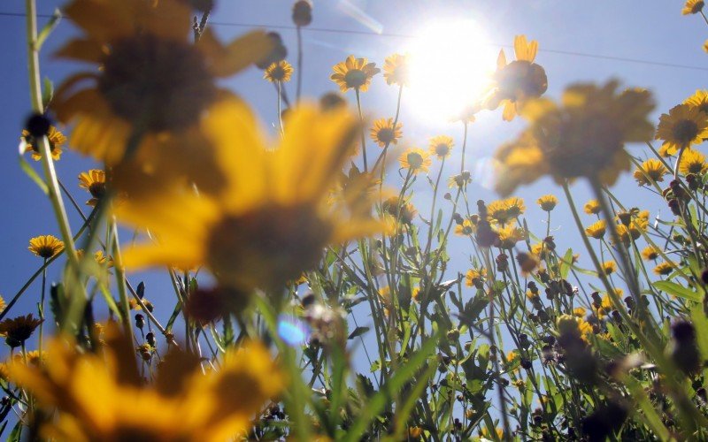 Começo desta semana é marcado por temperaturas altas | Jornal NH