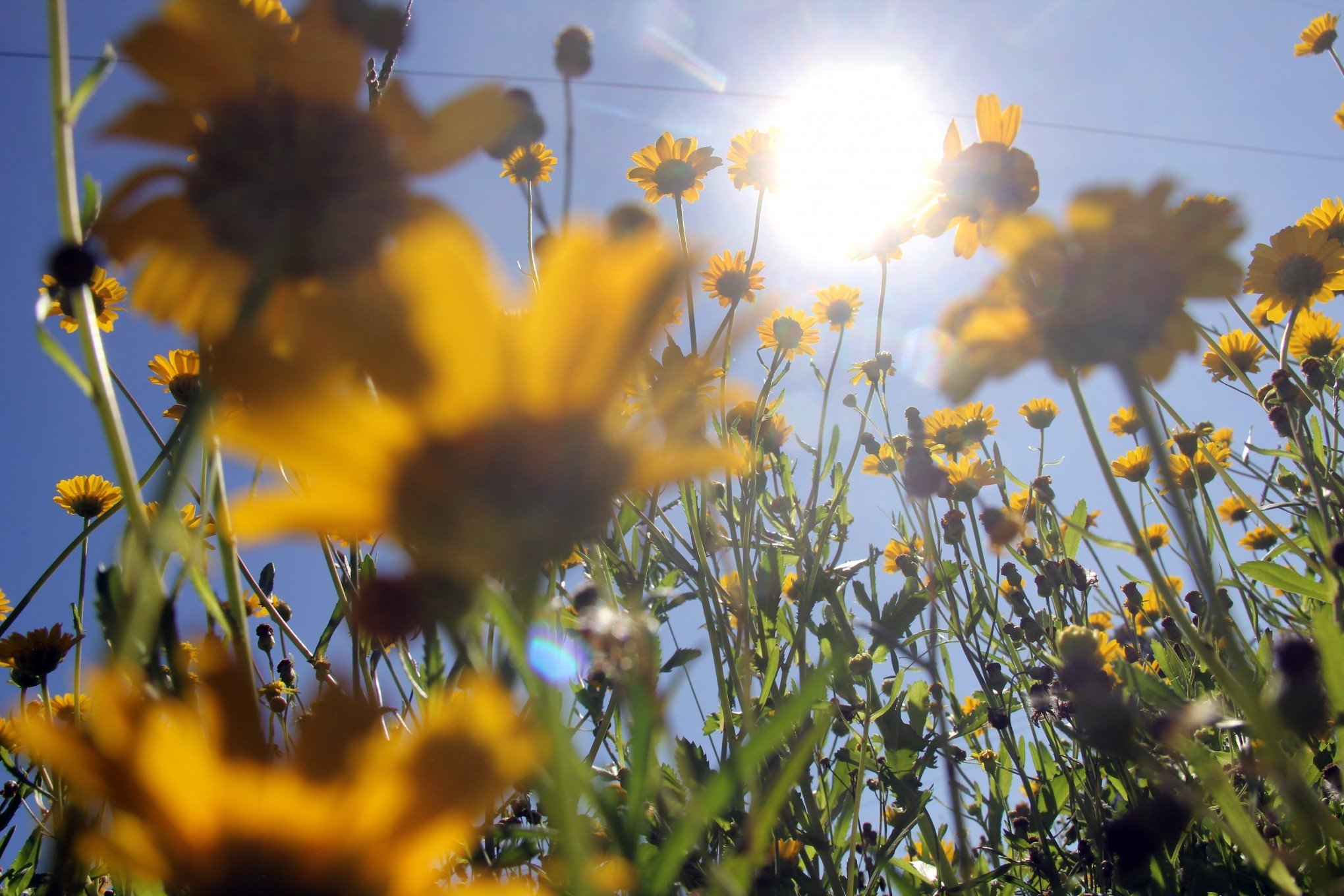 PREVISÃO DO TEMPO: Temperatura de mais de 30°C vai acabar em temporal? Confira