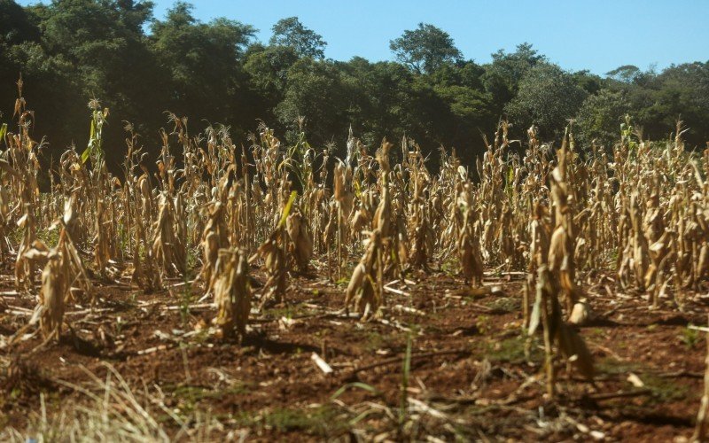 La Niña causa estiagem no Rio Grande do Sul | abc+
