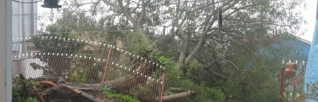 Enxurrada, casas destelhadas e pontos de alagamento após a passagem de temporal em Canoas