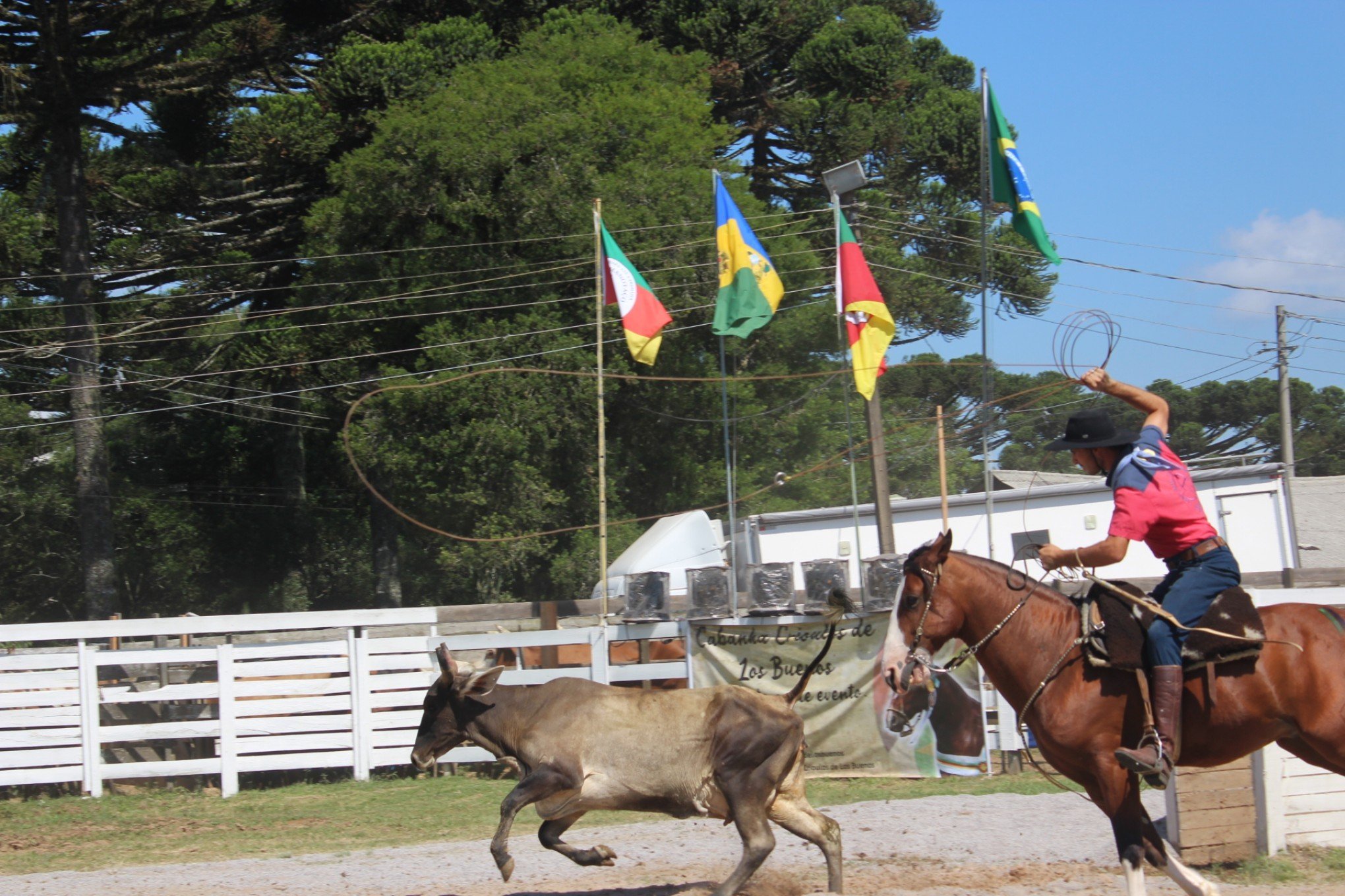 Rodeios crioulo e internacional esperam reunir mais de 12 mil pessoas em Gramado