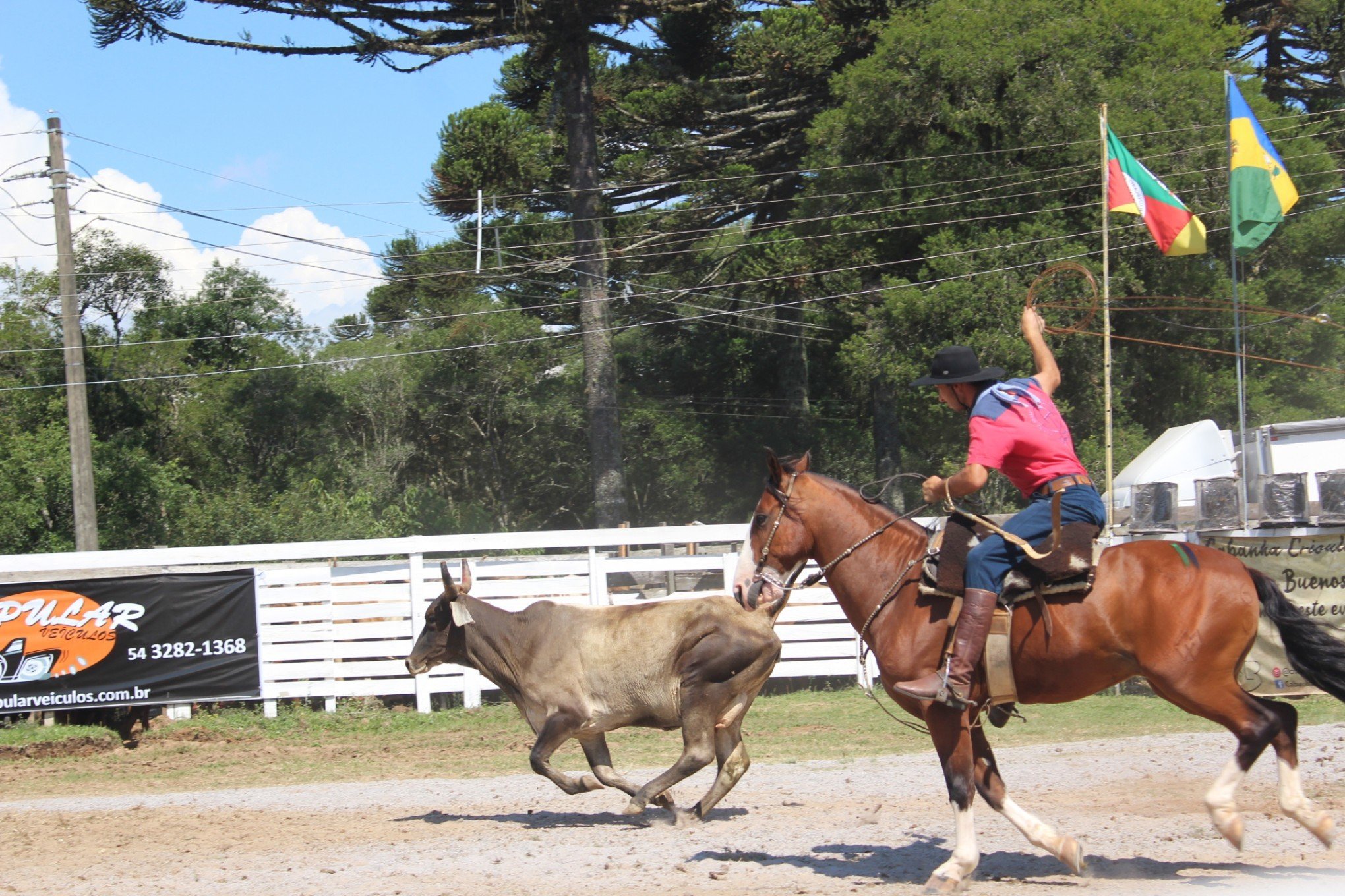 Rodeio Crioulo Nacional de Gramado inicia sem Astro do Laço e com retomada de torneios mais tradicionais