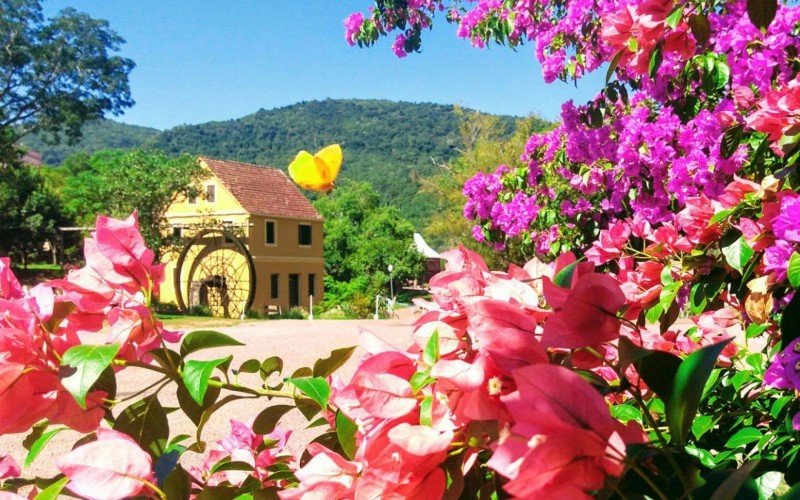 Parque Histórico Municipal Jorge Kuhn sediará atividades