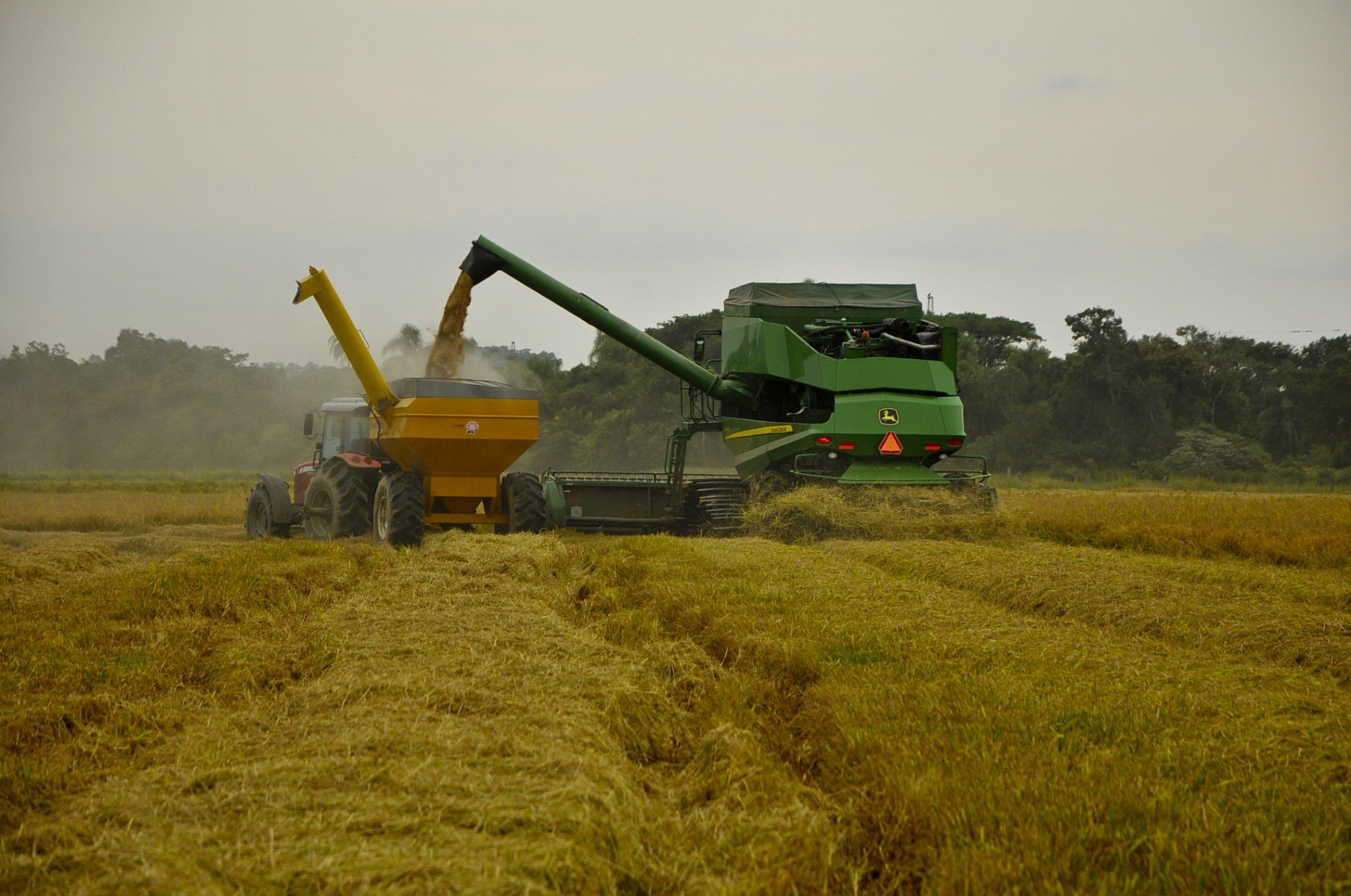 Emater projeta queda na produção de arroz em Nova Santa Rita