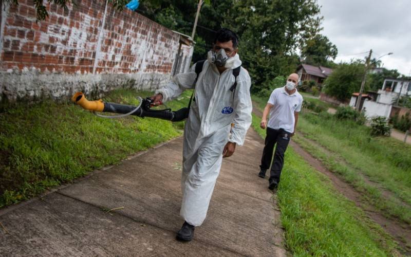 Action to eliminate epidemics in the neighborhood of Santo André