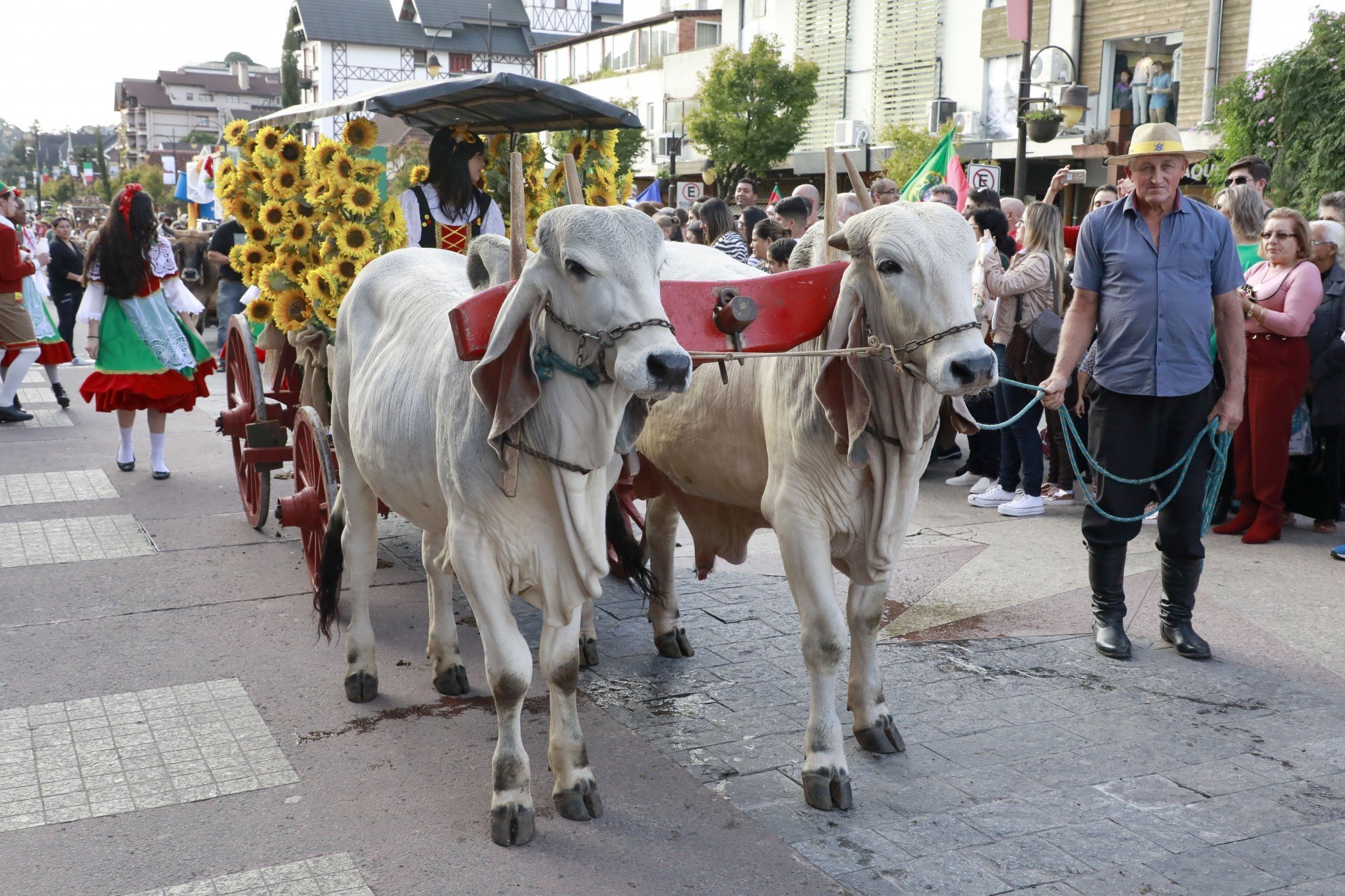 Desfile de Carretas, Brilha Som e culto são atrações da Festa da Colônia nos próximos dias