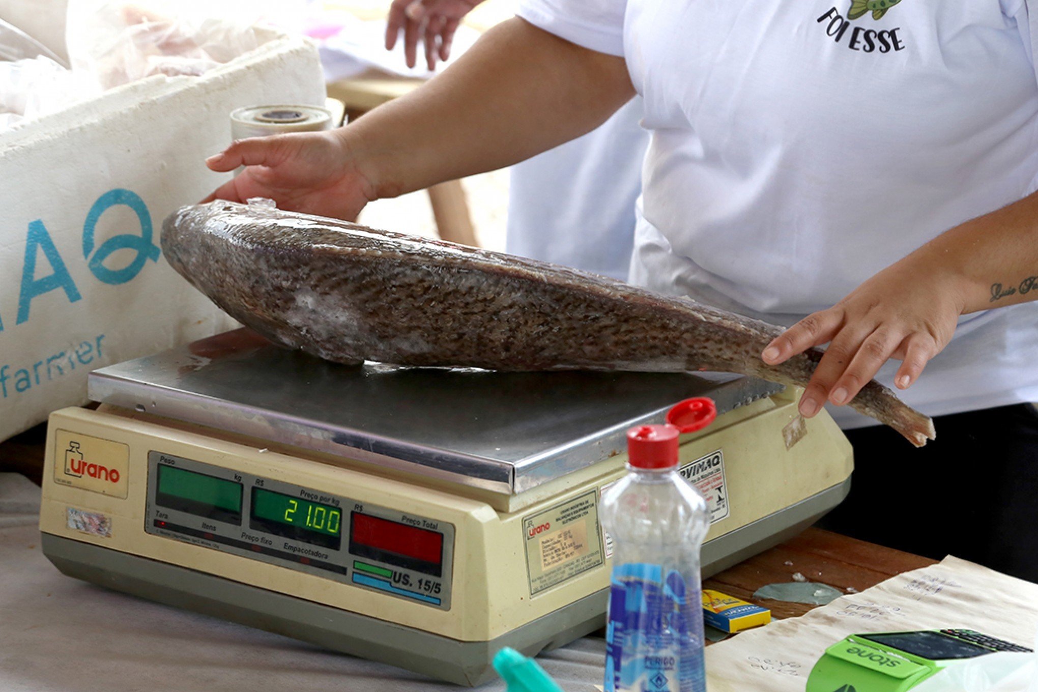 Inscrições para comercialização na Feira do Peixe leopoldense iniciam nesta segunda-feira