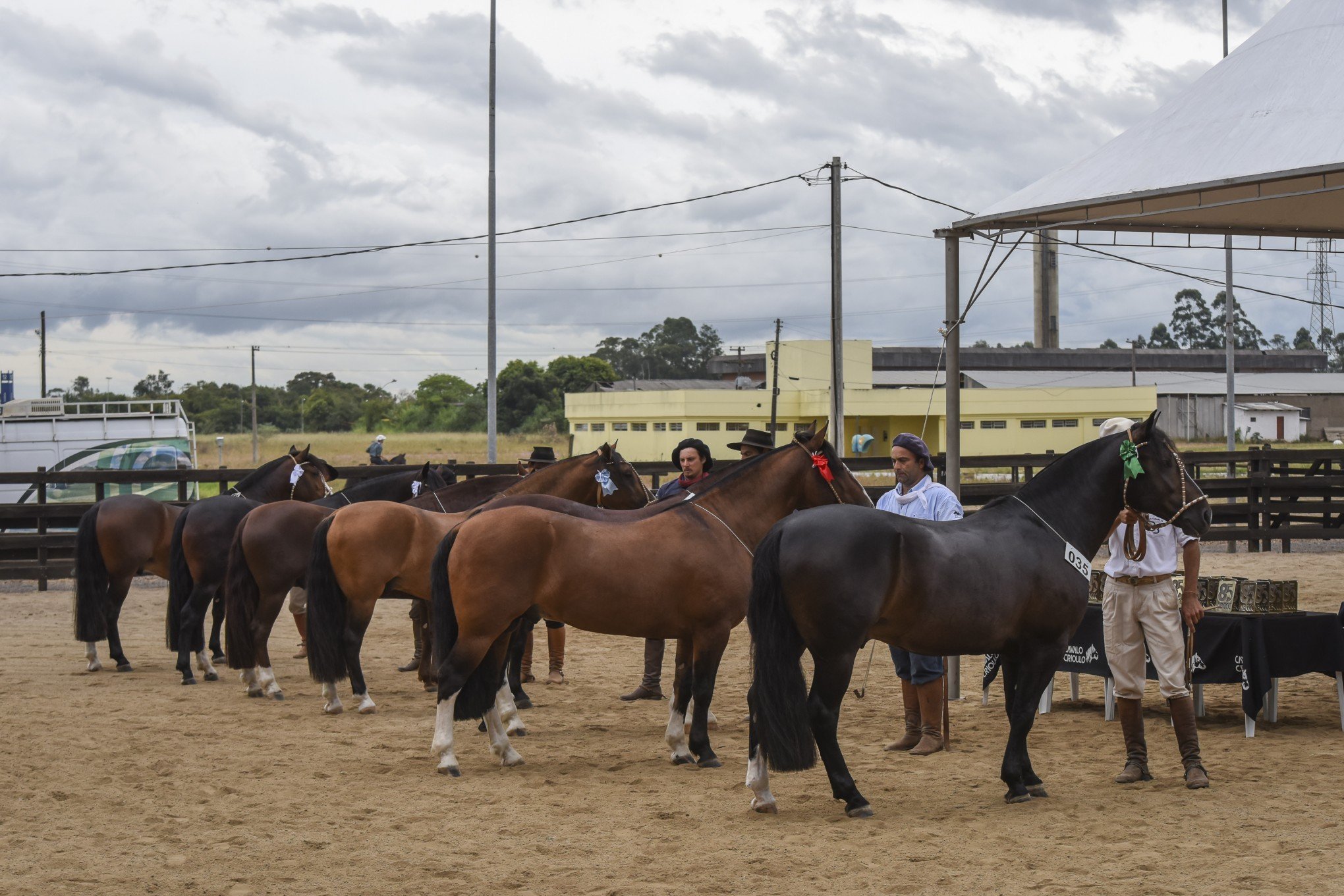 Videos :: ABCCC - Associação Brasileira de Criadores de Cavalos Crioulos