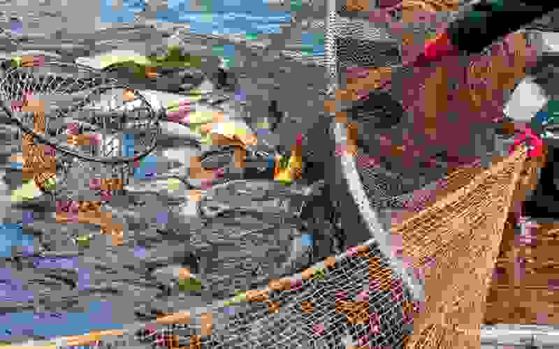 Justiça Federal proíbe pesca de arrasto no litoral gaúcho