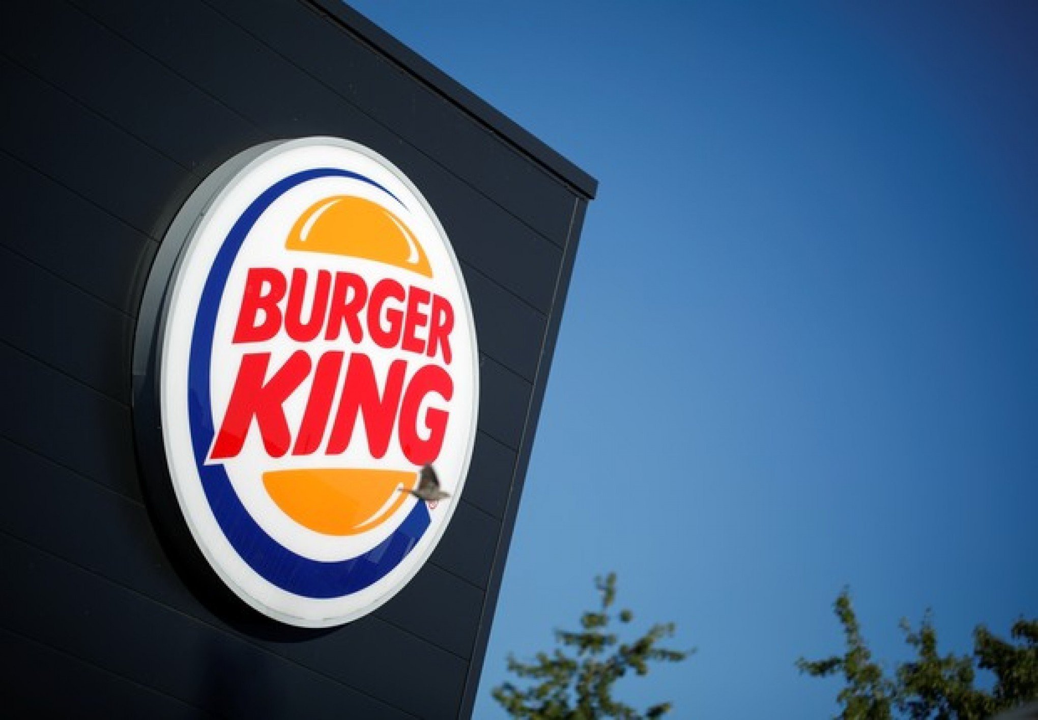 Burger King é condenado por vender Whopper Costela sem costela; entenda o caso