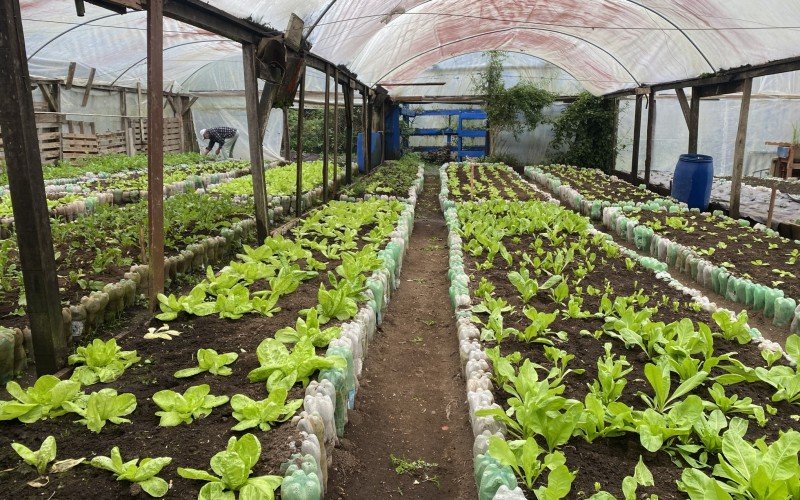 Horta no Presídio Estadual de Canela