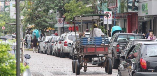 Indenização de R$ 6 mil aprovada a carroceiros passará pela sanção de prefeito
