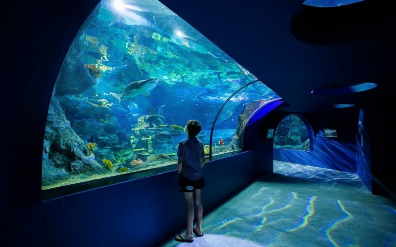 O oceanário Odysseo, localizado nas Ilhas Maurício, no Oceano Índico, é um dos exemplos que se assemelha ao que deve ser construído em Gramado