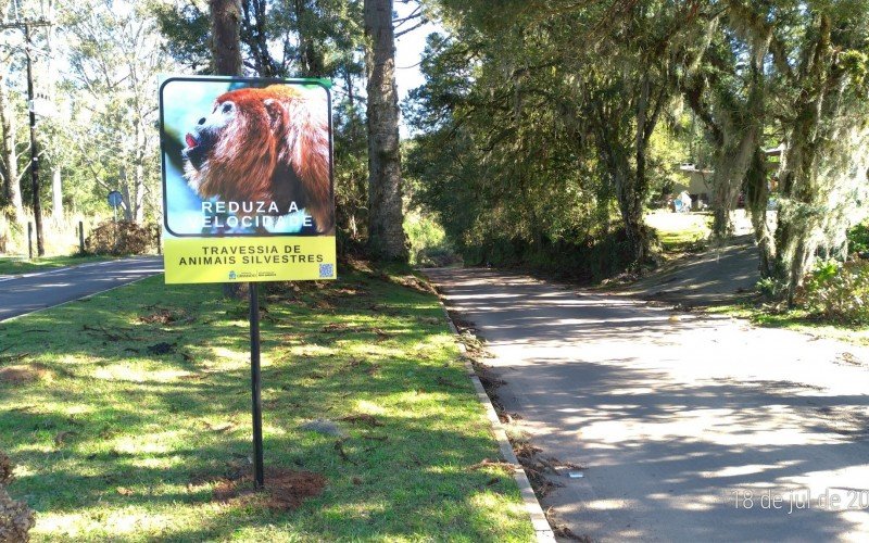 Secretaria do Meio Ambiente instala placas de travessia de animais silvestres