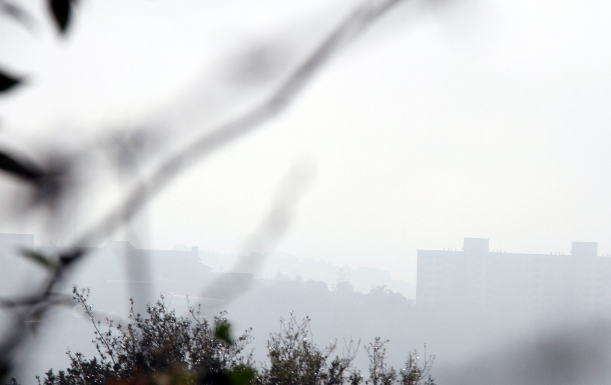 PREVISÃO DO TEMPO: Forte neblina marca o começo da segunda-feira; confira como serão os próximos dias no RS
