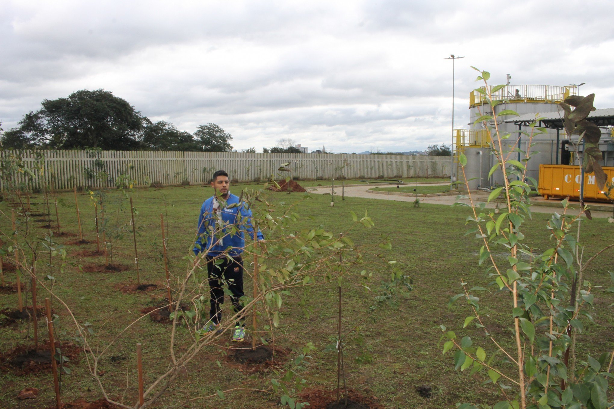 Estação de Tratamento de Esgoto da Vila Palmeira ganha árvores para