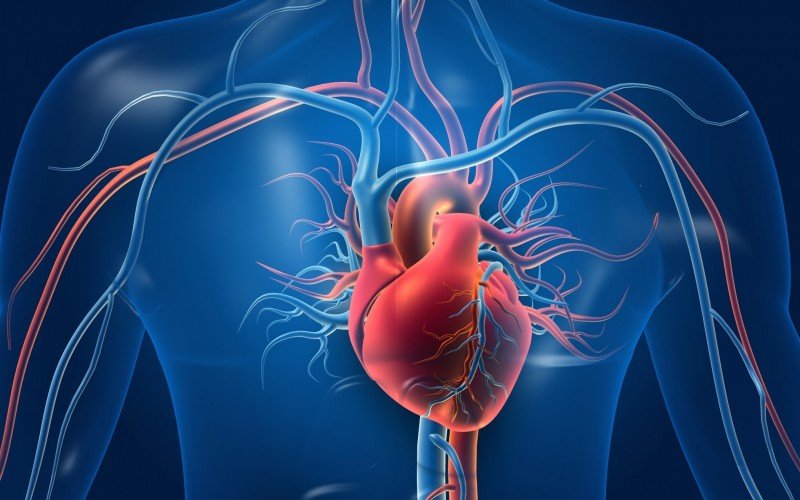 Nova diretriz endurece metas sobre colesterol para prevenir infartos e AVCs | abc+