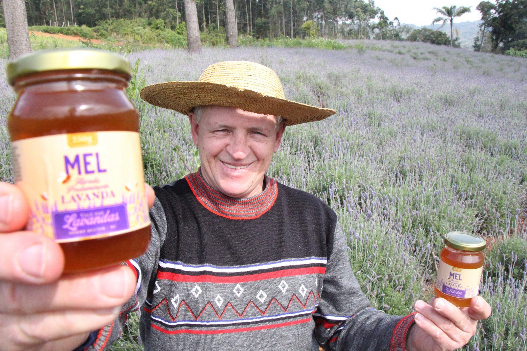Campos de lavanda da região são a origem de um aromático mel - Região -  Diário de Canoas