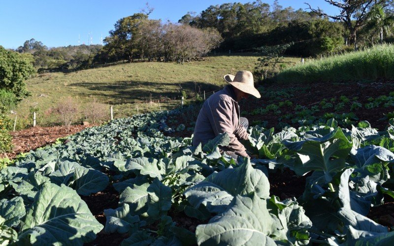 Produtores rurais que vivem em áreas em situação de emergência ou calamidade terão adesão automática ao benefício do Banrisul | abc+