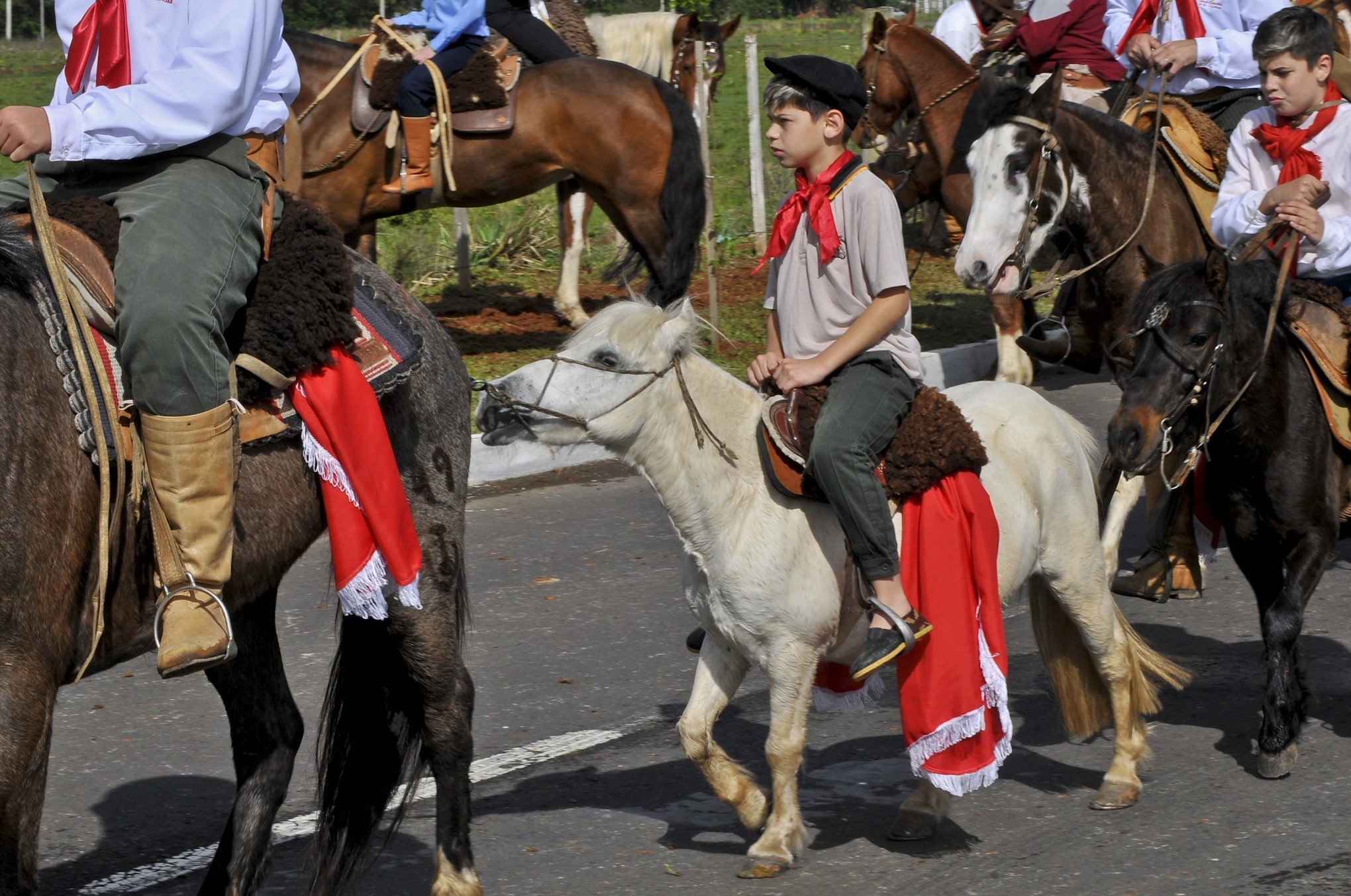 Festa da Cavalaria: está chegando a hora - Litoralmania ®
