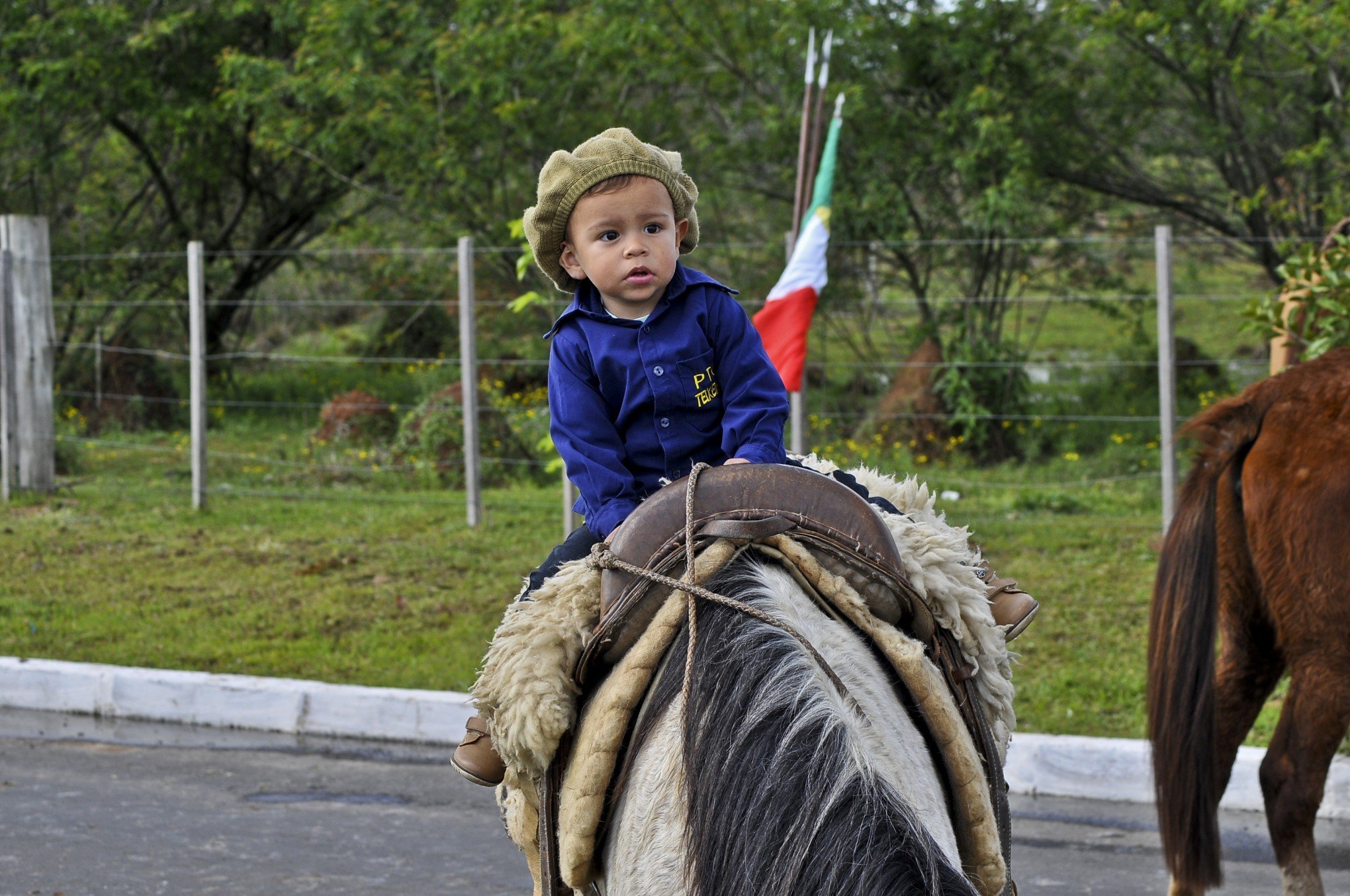 Festa da Cavalaria: está chegando a hora - Litoralmania ®