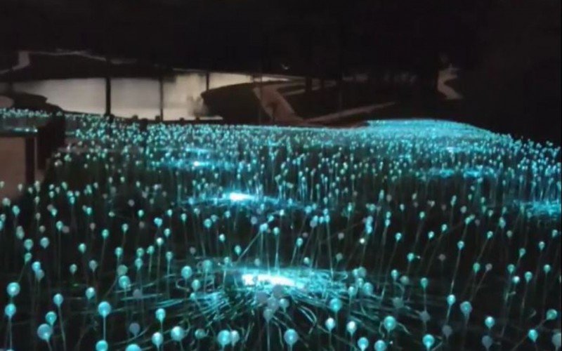 Lumni Experience Park abrirá no interior de Gramado