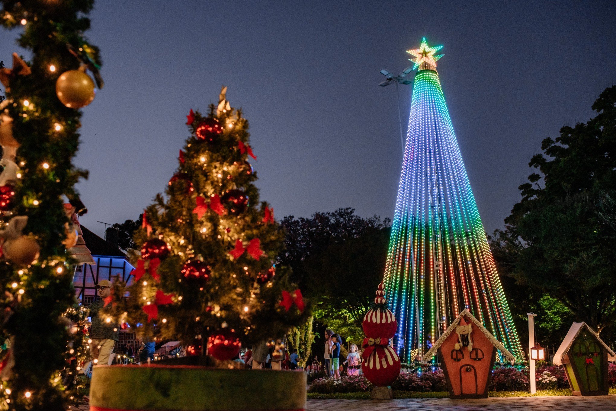 Natal e aniversário: decoração e shows nas festas de Sertãozinho - RecordTV  Interior SP - R7 SP Record