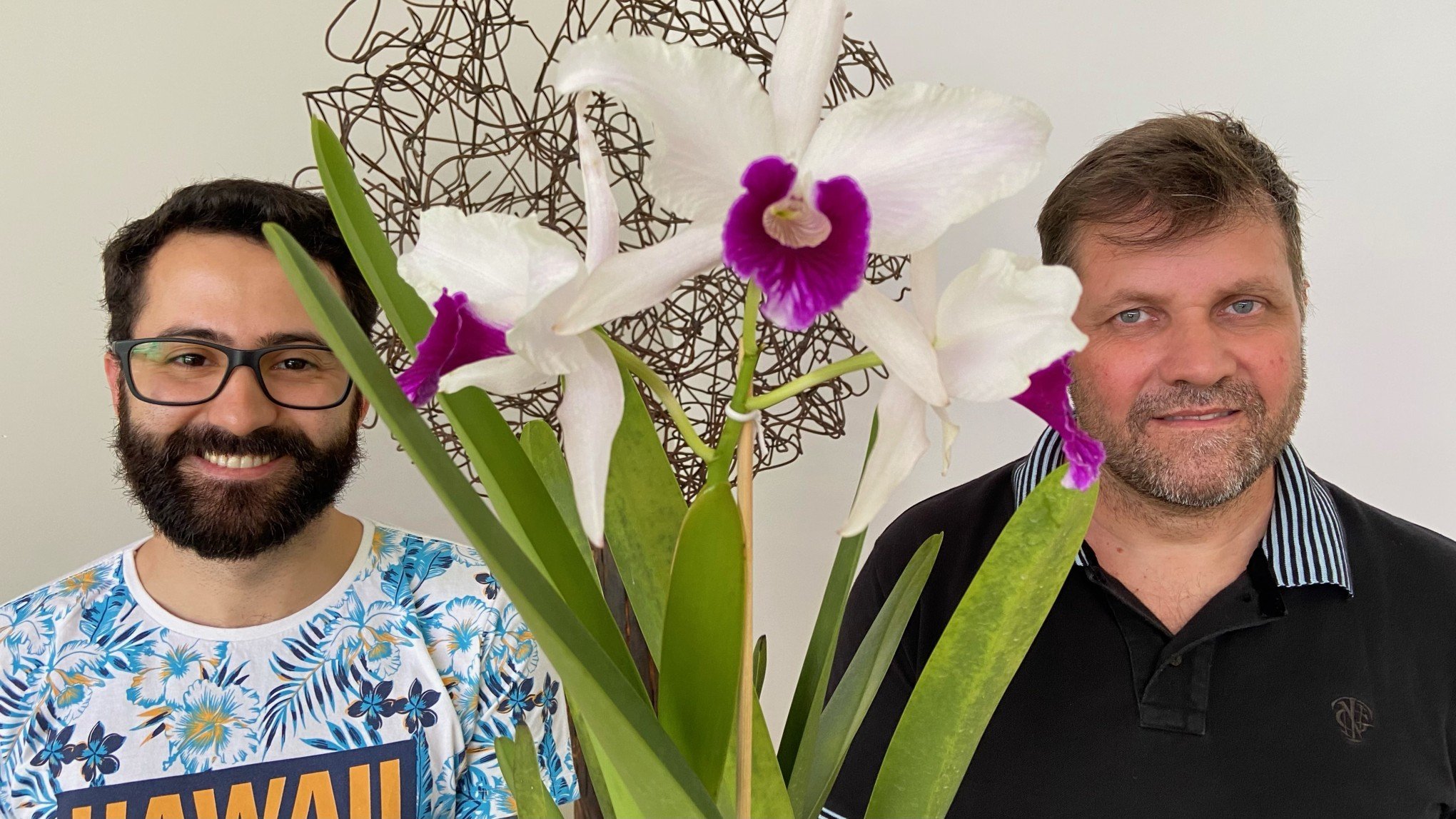 Mostra de Orquídeas terá cerca de 200 plantas expostas em Novo Hamburgo -  Novo Hamburgo - Jornal VS