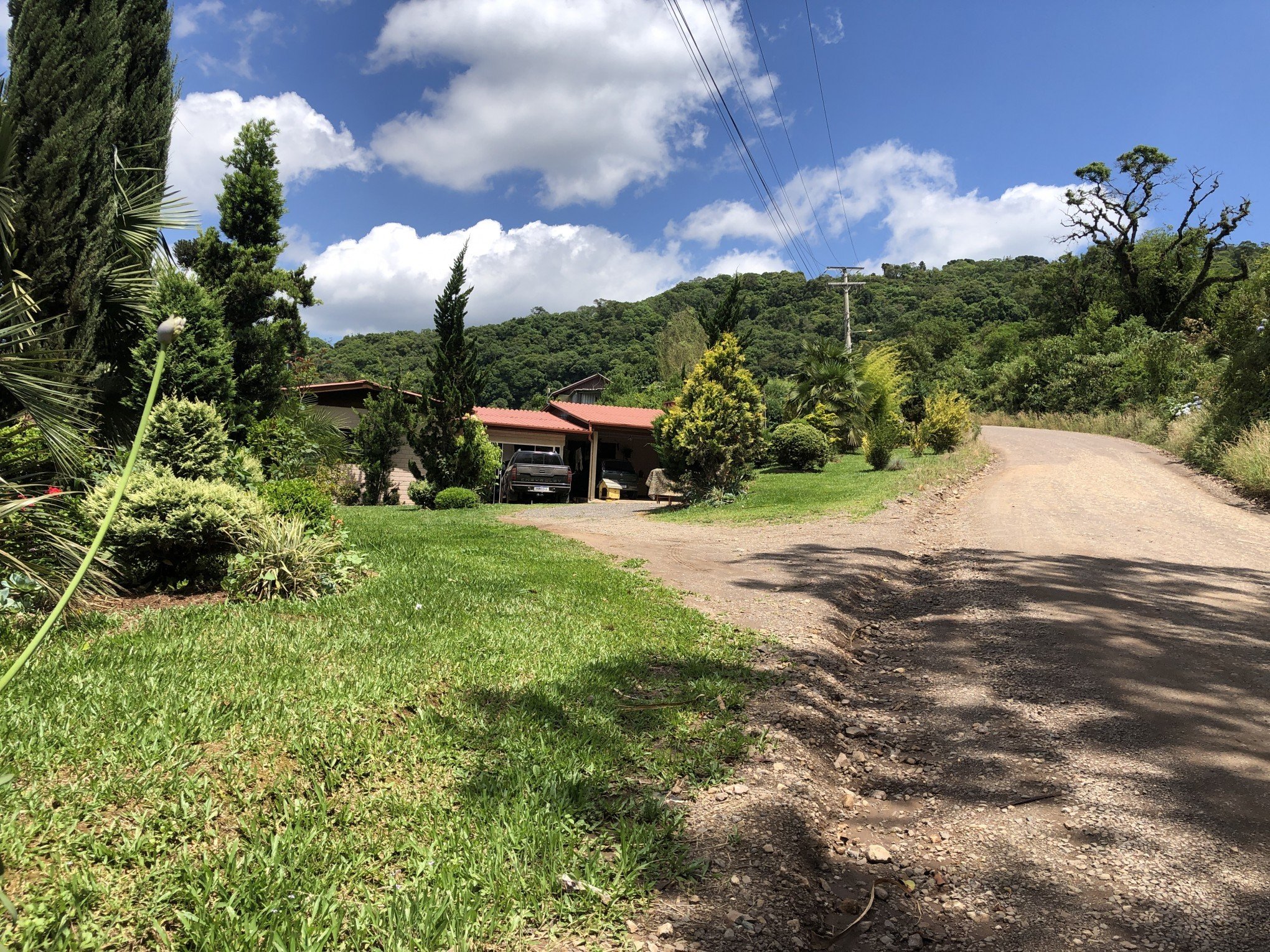 Desenhista de Gramado tem 15 milhões de inscritos em seu canal no  -  Região - Jornal NH