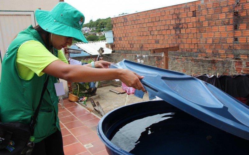 Cerca de 80% dos mosquitos da dengue encontrados em Novo Hamburgo estão nos pátios das residências  | abc+