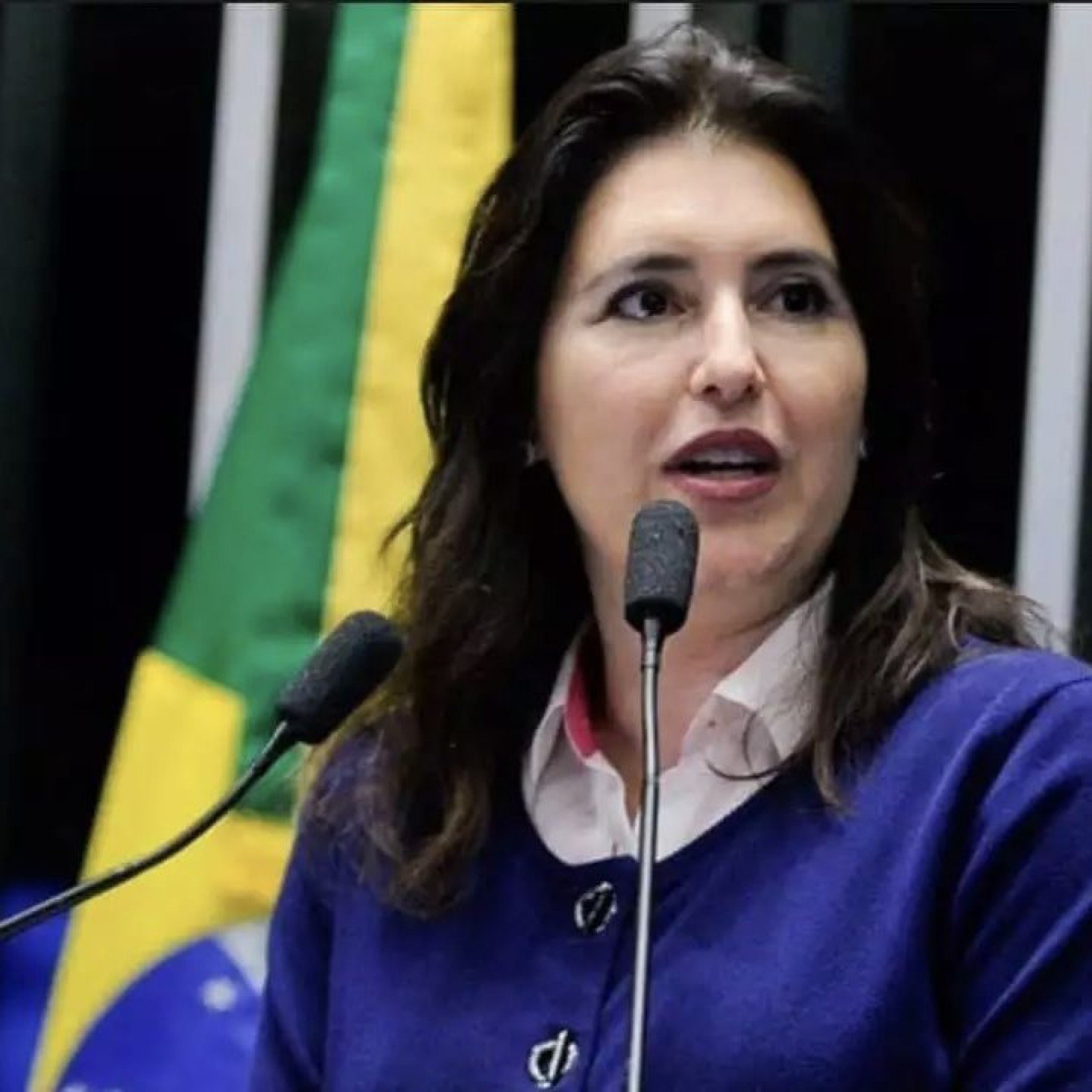Tebet diz que reoneração gradual da folha de pagamentos começou a ter resultados