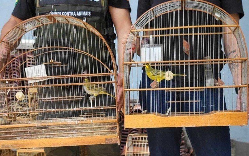 Mais de 350 aves silvestres são apreendidas pela Polícia em Novo Hamburgo