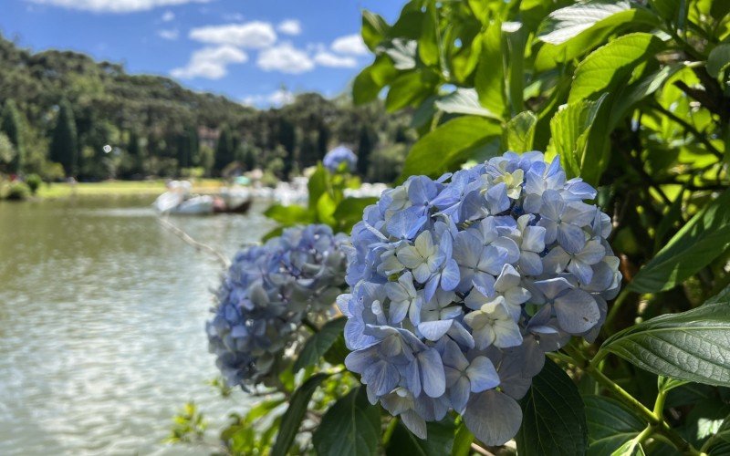 Sábado (20) será de frio pela manhã na Serra gaúcha | abc+