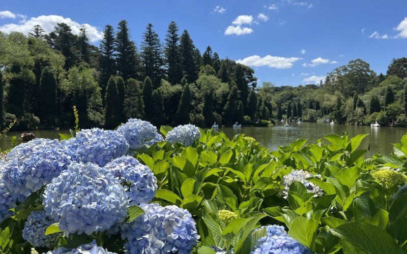 Na Serra a Páscoa deve ser de sol  | abc+