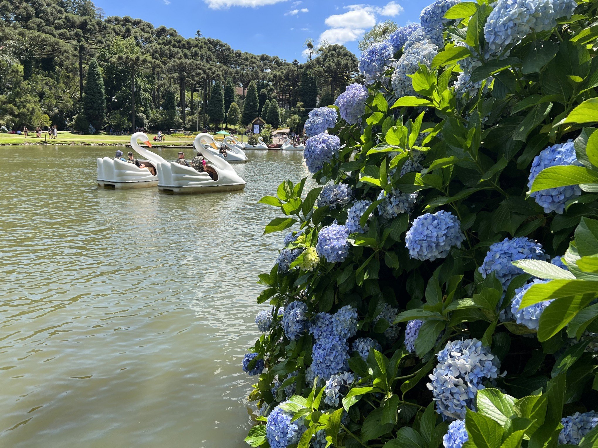 Fim de semana será de últimas apresentações natalinas e de competições no Rodeio de Canela