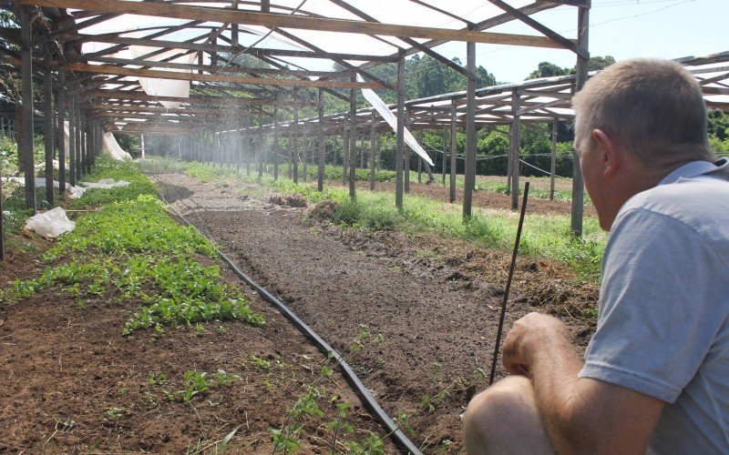 Técnicas de irrigação salvam lavouras do Vale do Sinos durante estiagem