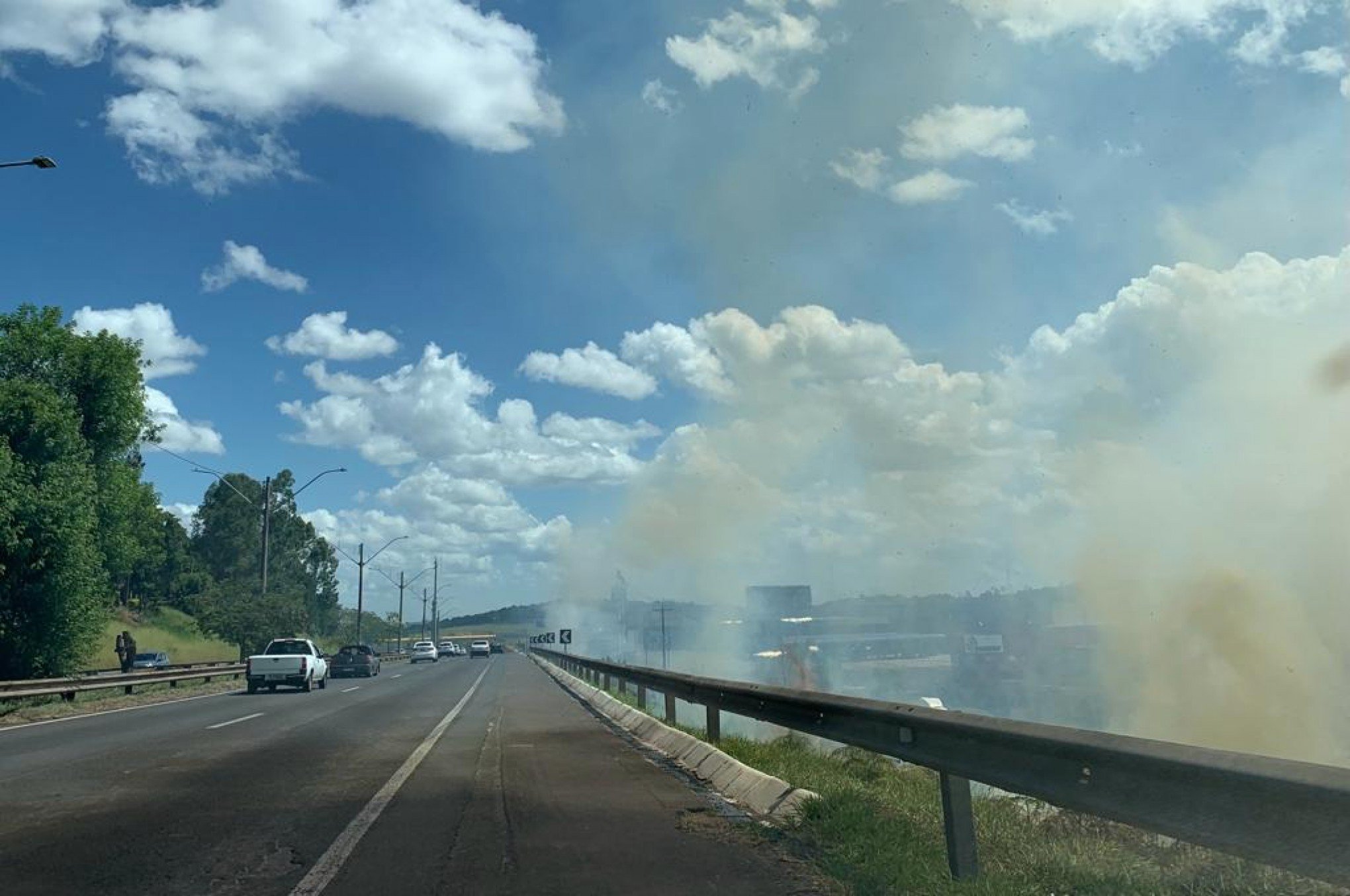 Princípio de incêndio em vegetação chama atenção de motoristas na BR-116, em Novo Hamburgo