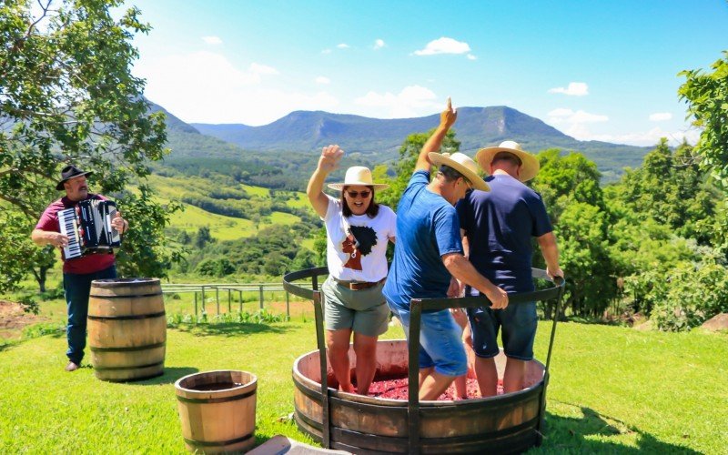 A Jolimont tornou a pisa da uva em uma festa cultural