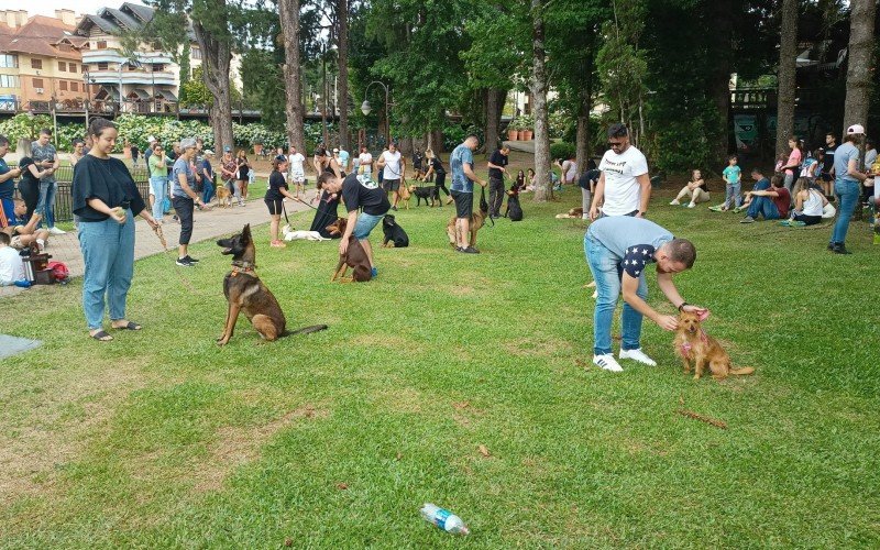 Mais de 20 cachorros participaram ativamente em treino realizado com apoio do canil do Presídio Estadual de Canela