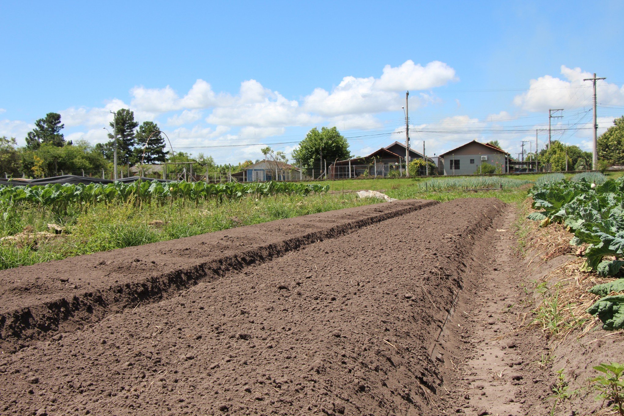 Agricultores sofrem com estiagem à espera da construção de novos açudes na região