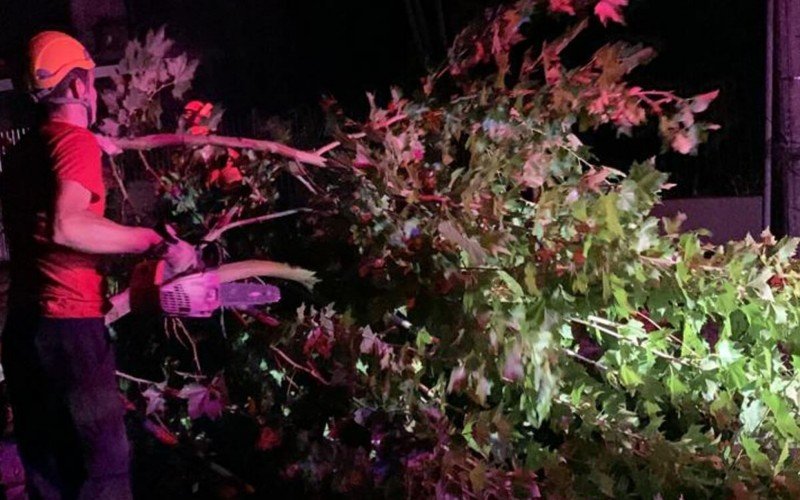 Bombeiros trabalharam na remoÃ§Ã£o de Ã¡rvores que caÃ­ram durante tempestade severa em Taquara