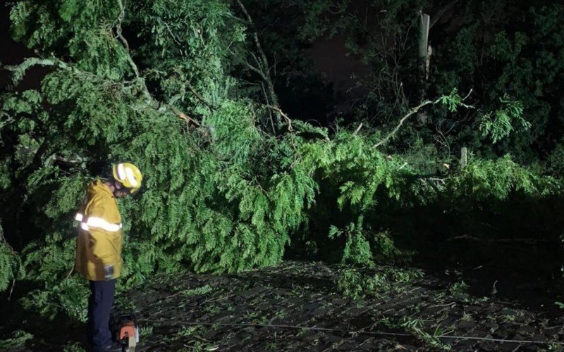 Bombeiros trabalharam na remoÃ§Ã£o de Ã¡rvores que caÃ­ram durante tempestade severa em Taquara